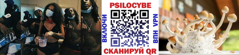 Галлюциногенные грибы ЛСД  kraken онион  Балтийск  наркота 